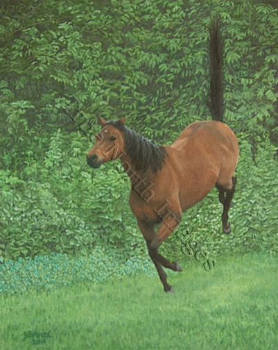 painting of Happy Horse, bay Thoroughbred bucking for joy.