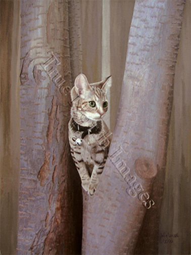 painting of kittern in the fork of a tree