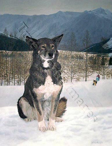 painting of Champion Sled-Dog