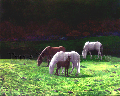painting of horses grazing at duck