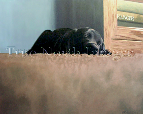 painting of puppy asleep on the carpet