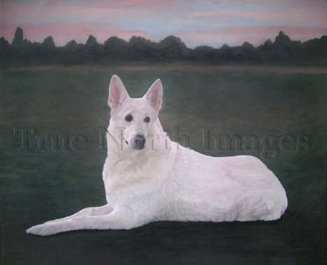 white shadow german shepherd painted pet dog portrait