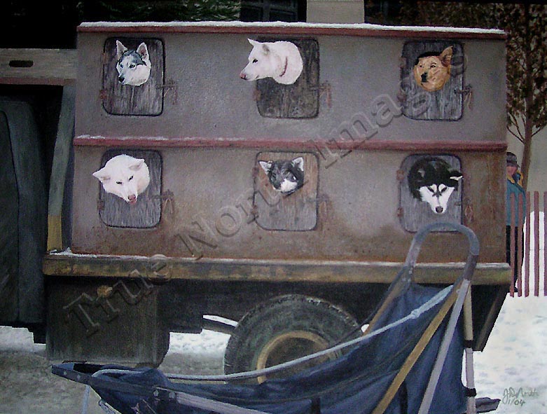 sled-dogs in dog box