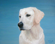 white Labradore retriever painted pet dog portraits